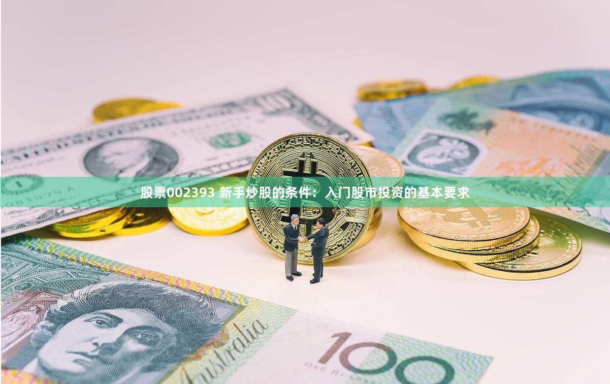 股票002393 新手炒股的条件：入门股市投资的基本要求