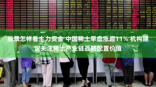 股票怎样看主力资金 中国稀土早盘涨超11% 机构建议关注稀土产业链战略配置价值