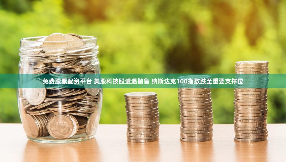 免费股票配资平台 美股科技股遭遇抛售 纳斯达克100指数跌至重要支撑位