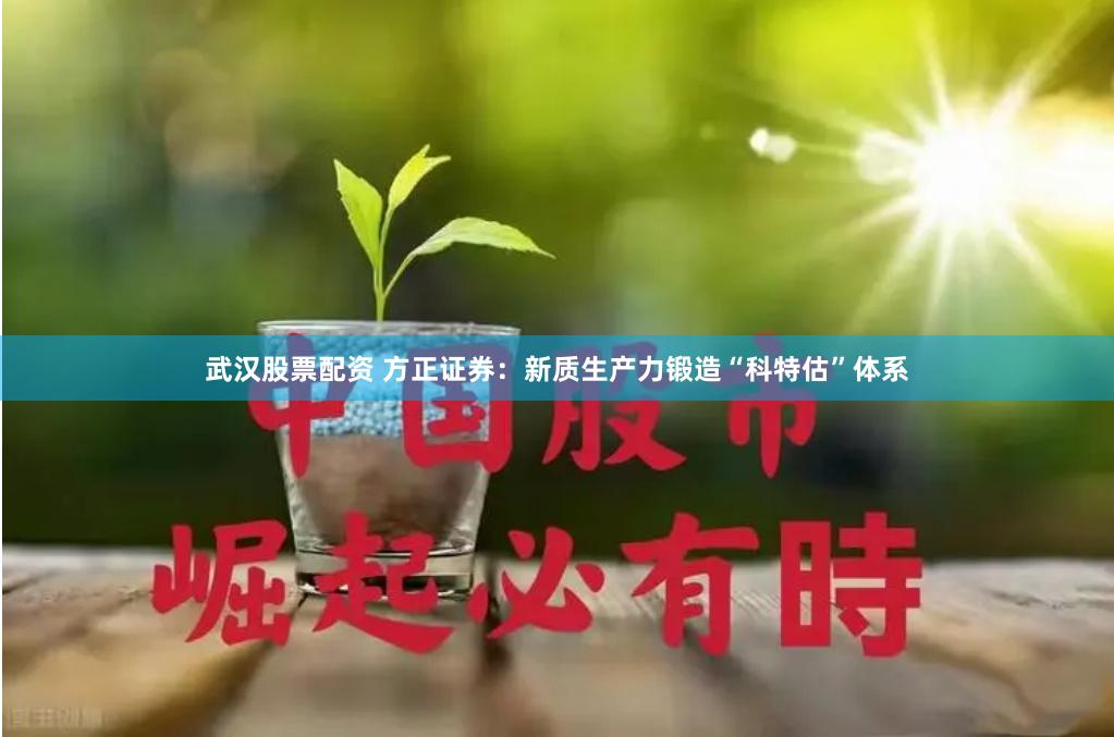 武汉股票配资 方正证券：新质生产力锻造“科特估”体系