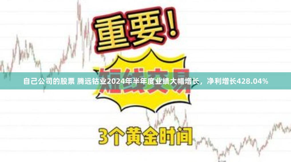自己公司的股票 腾远钴业2024年半年度业绩大幅增长，净利增长428.04%