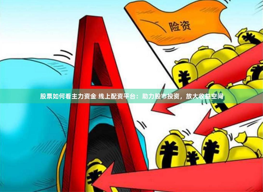 股票如何看主力资金 线上配资平台：助力股市投资，放大收益空间